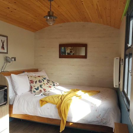 Dingle Way Glamping Annascaul Hotel Exterior foto