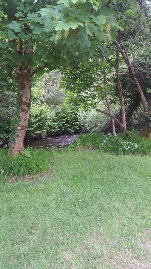 Dingle Way Glamping Annascaul Hotel Exterior foto